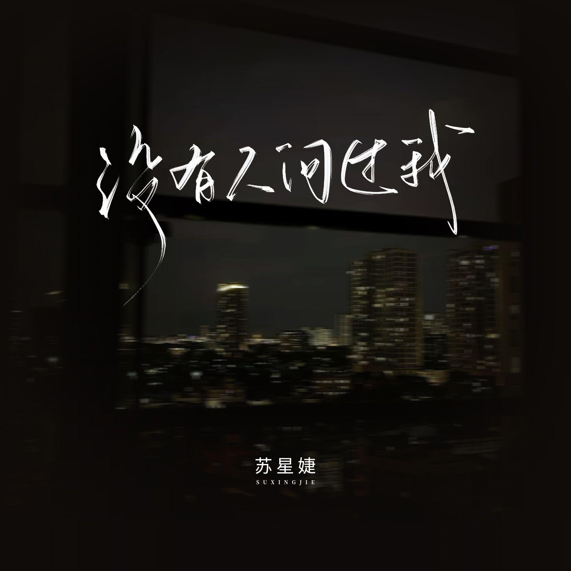 没有人问过我专辑
