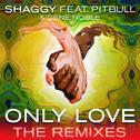 Only Love (The Remixes)专辑
