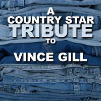 In These Last Few Days - Vince Gill (karaoke)