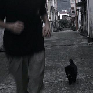 '你别难过 我会消失'