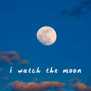 I Watch The Moon