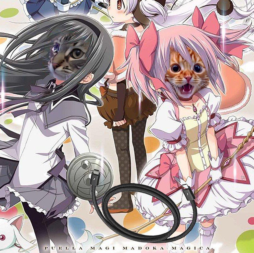 「连接线」魔法基米小圆op - 爱猫FM|哈基米FM|叮咚鸡胖宝宝 - 电台节目 - 网易云音乐
