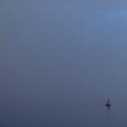 Under The Mist (BGM)