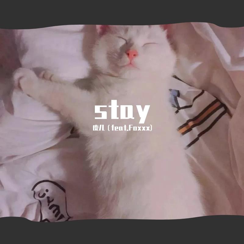 stay