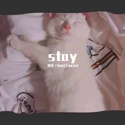 stay