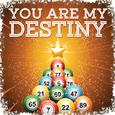 You Are My Destiny - Single