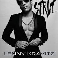 New York City - Lenny Kravitz (karaoke Version)