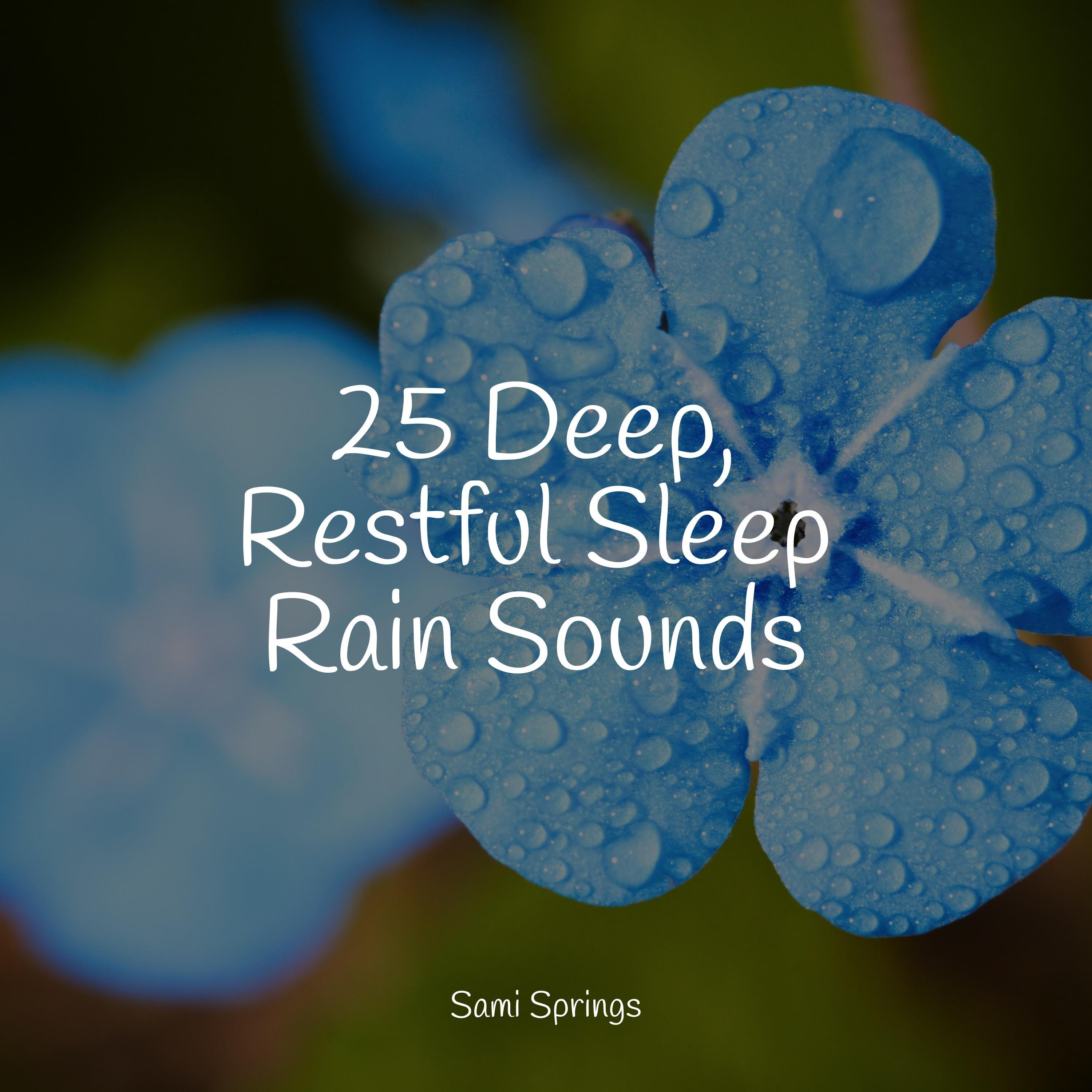 25 Deep, Restful Sleep Rain Sounds