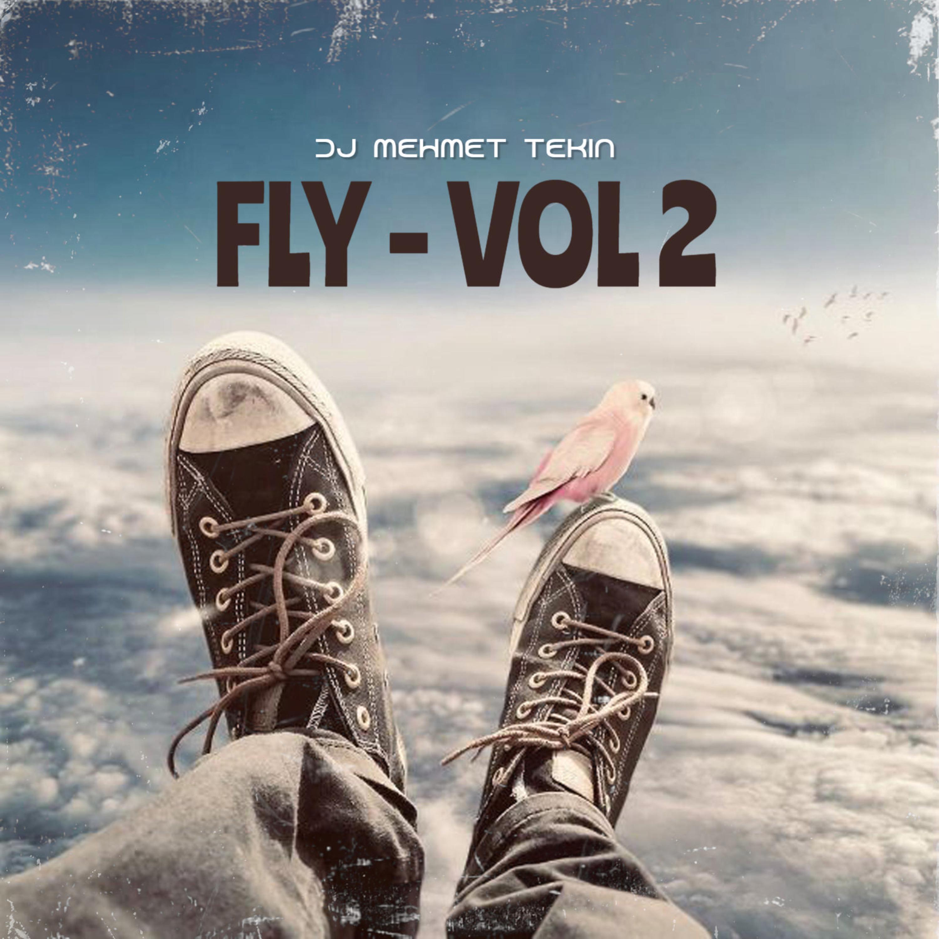 Fly V2