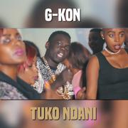 Tuko Ndani专辑