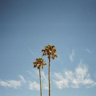 纯情小主播的BGM