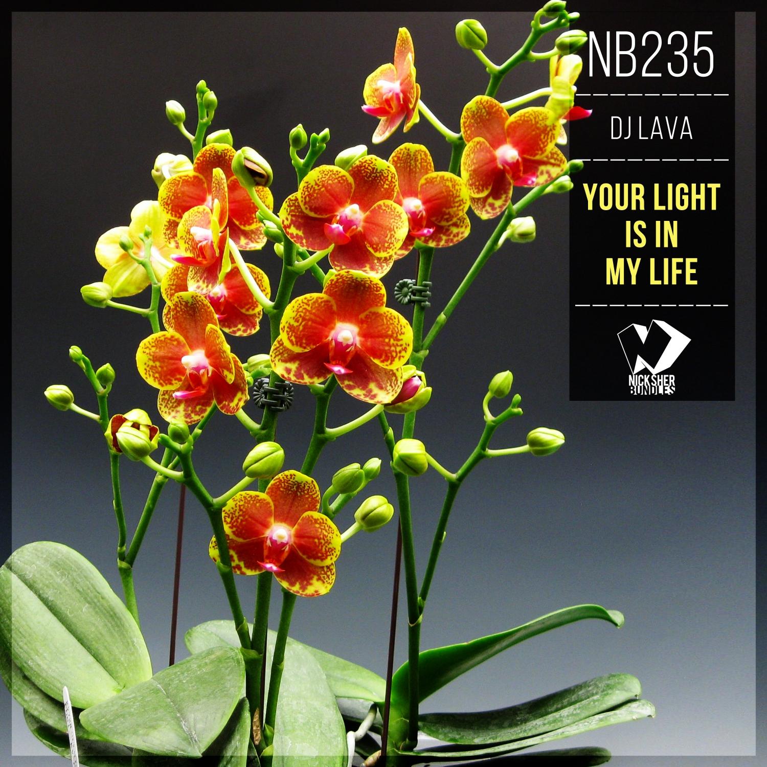 Your Light Is in My Life