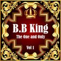 B.B King: The One and Only Vol 1专辑