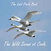 The Lost Poets Band - The Wild Swans at Coole