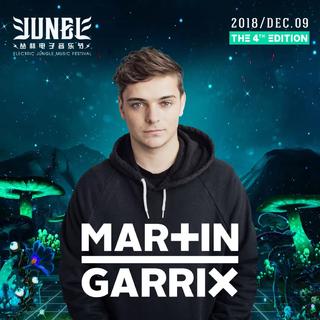 2018丛林电子音乐节丨Martin Garrix