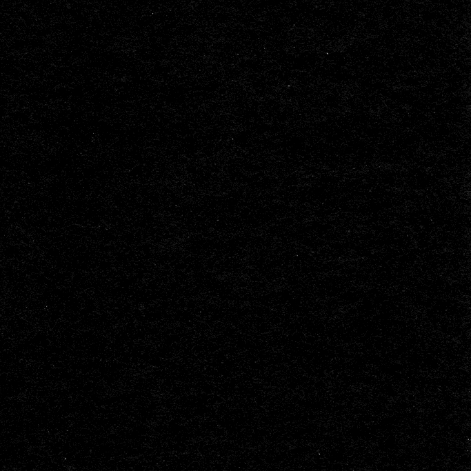 0000