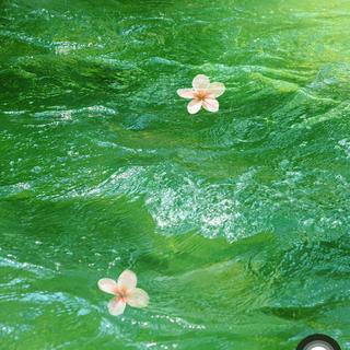 春天｜让万物复苏的春日小调