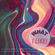 What I Like! (Carlos Bacchus Instrumental Remix)