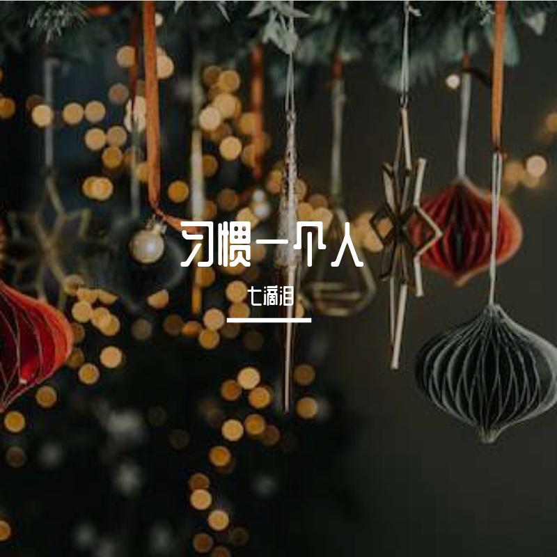 习惯一个人