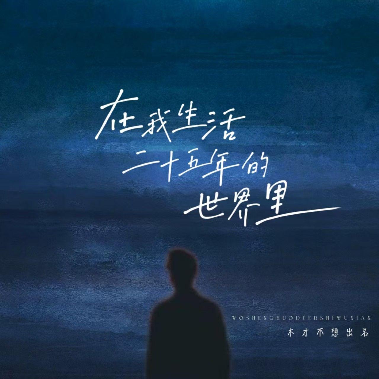 在我生活二十五年的世界里专辑