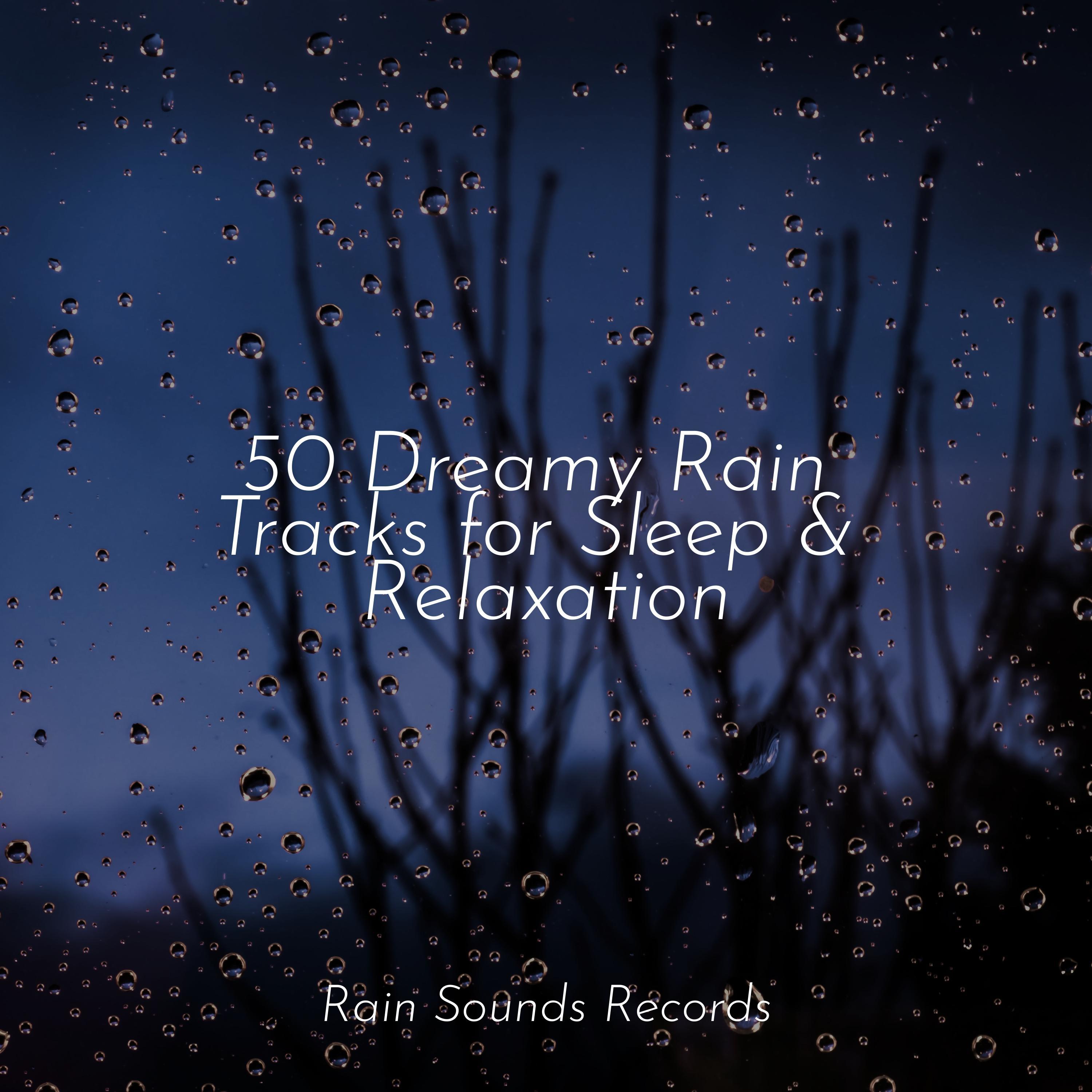 Midnight Melodies Unbound - Sons Da Natureza/Meditation/Nature Sounds ...