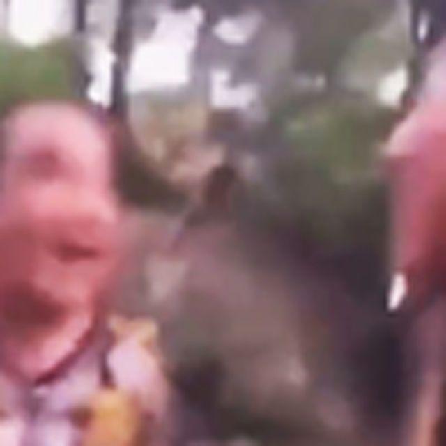 心勇气大爆发（虎哥）