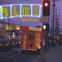 Gibb-Z ICE -陪着你走