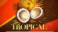 Tropical Cumbia Party专辑