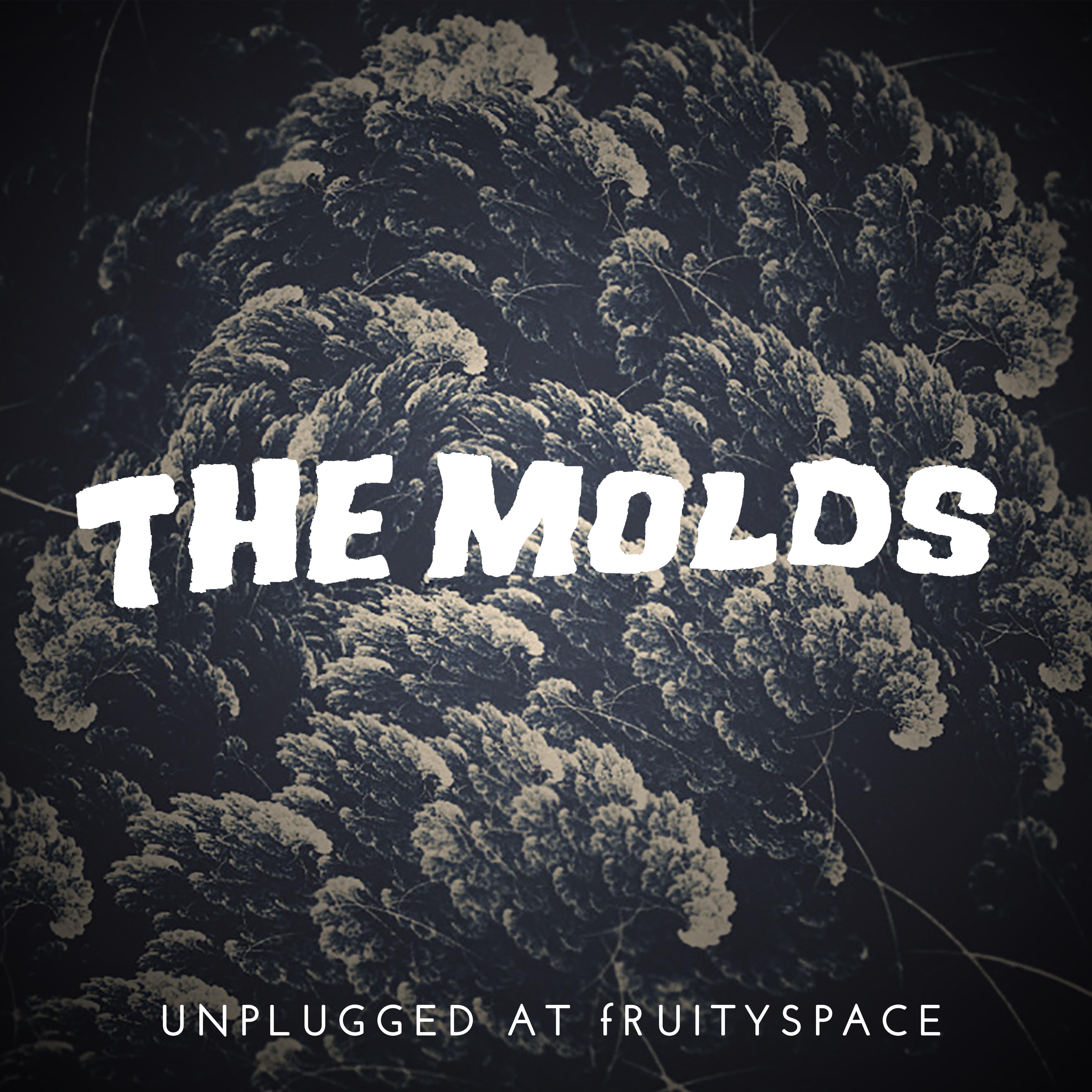 The Molds - Unplugged At fRUITYSPACE