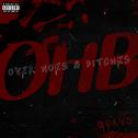 Over Hoes & Bitches (OHB)专辑