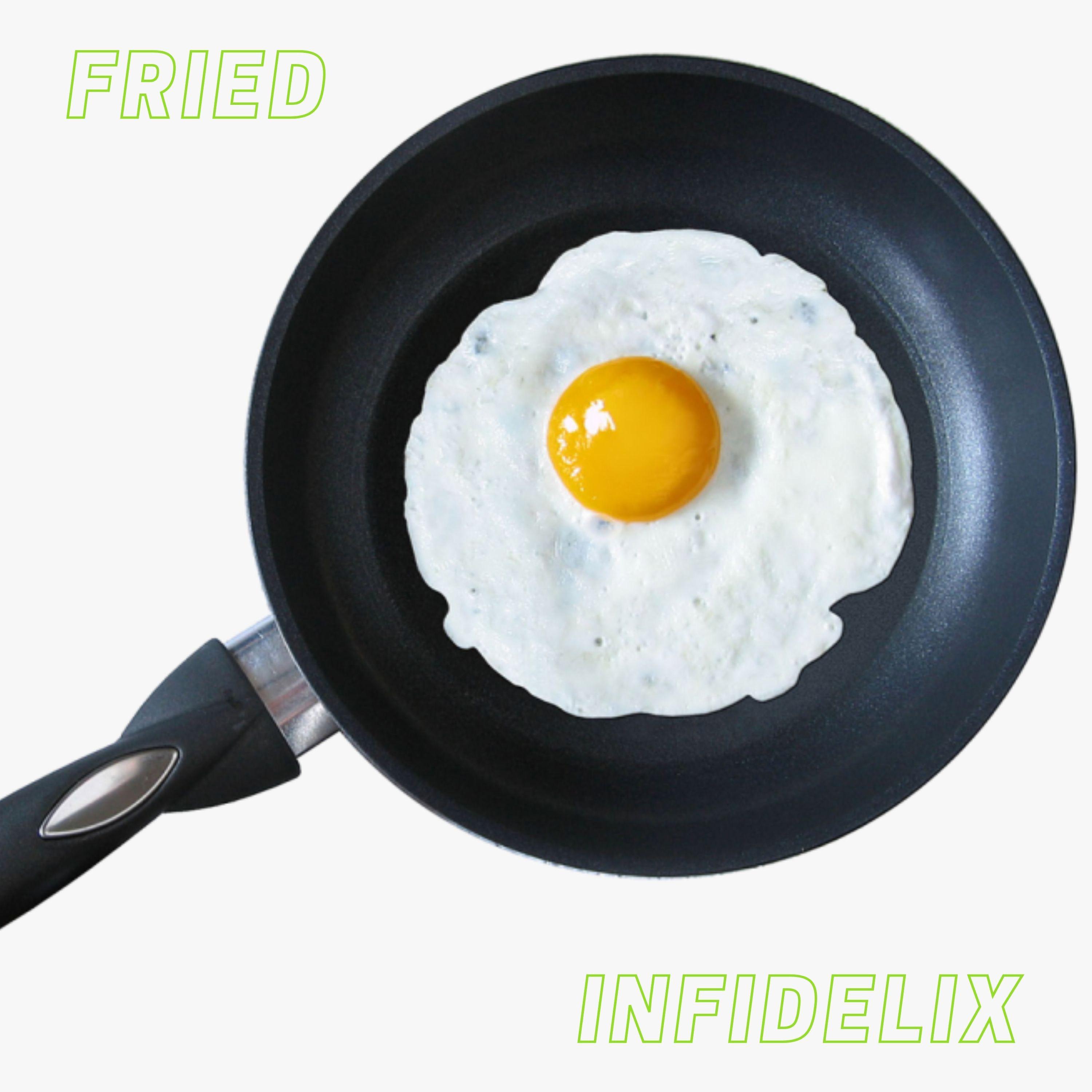 INFIDELIX - Fried