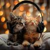 Relaxing Kitten Music - Plush Paw Percussion
