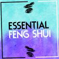 Essential Feng Shui