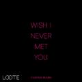 Wish I Never Met You (Feather Remix)