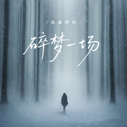 碎梦一场