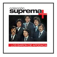 Los Baron De Apodaca - Los Aons Viejos (karaoke)