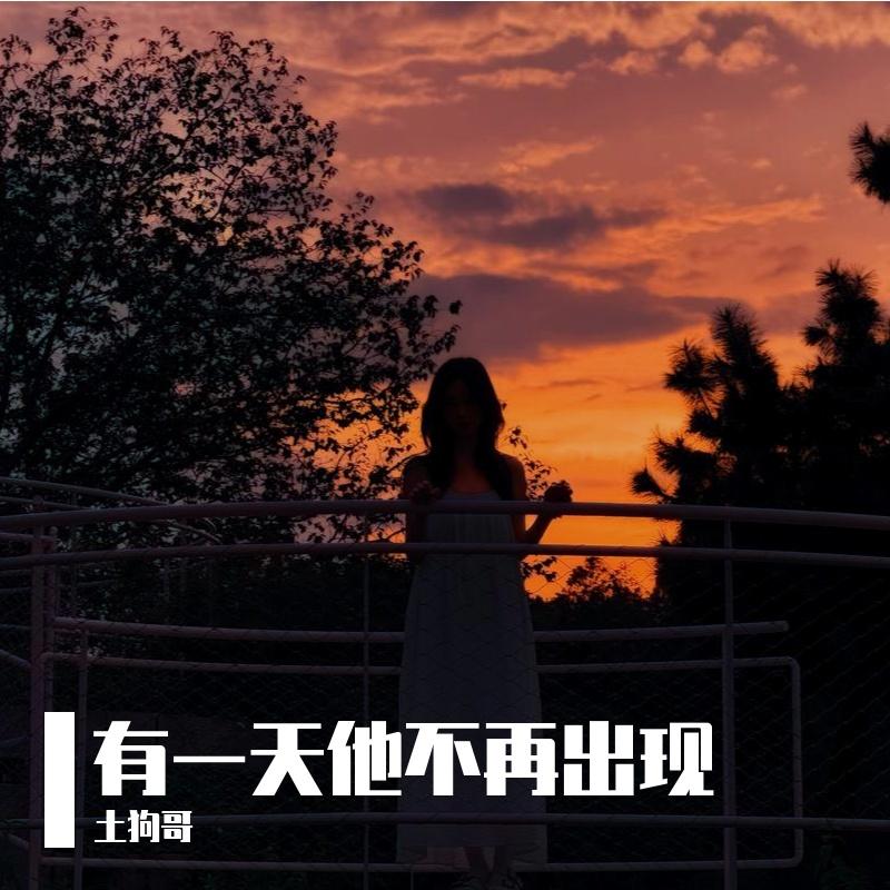 有一天他不再出现