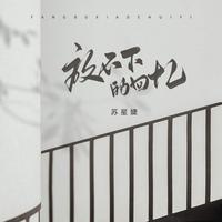 苏醒 - 不要劝我放下(伴奏)