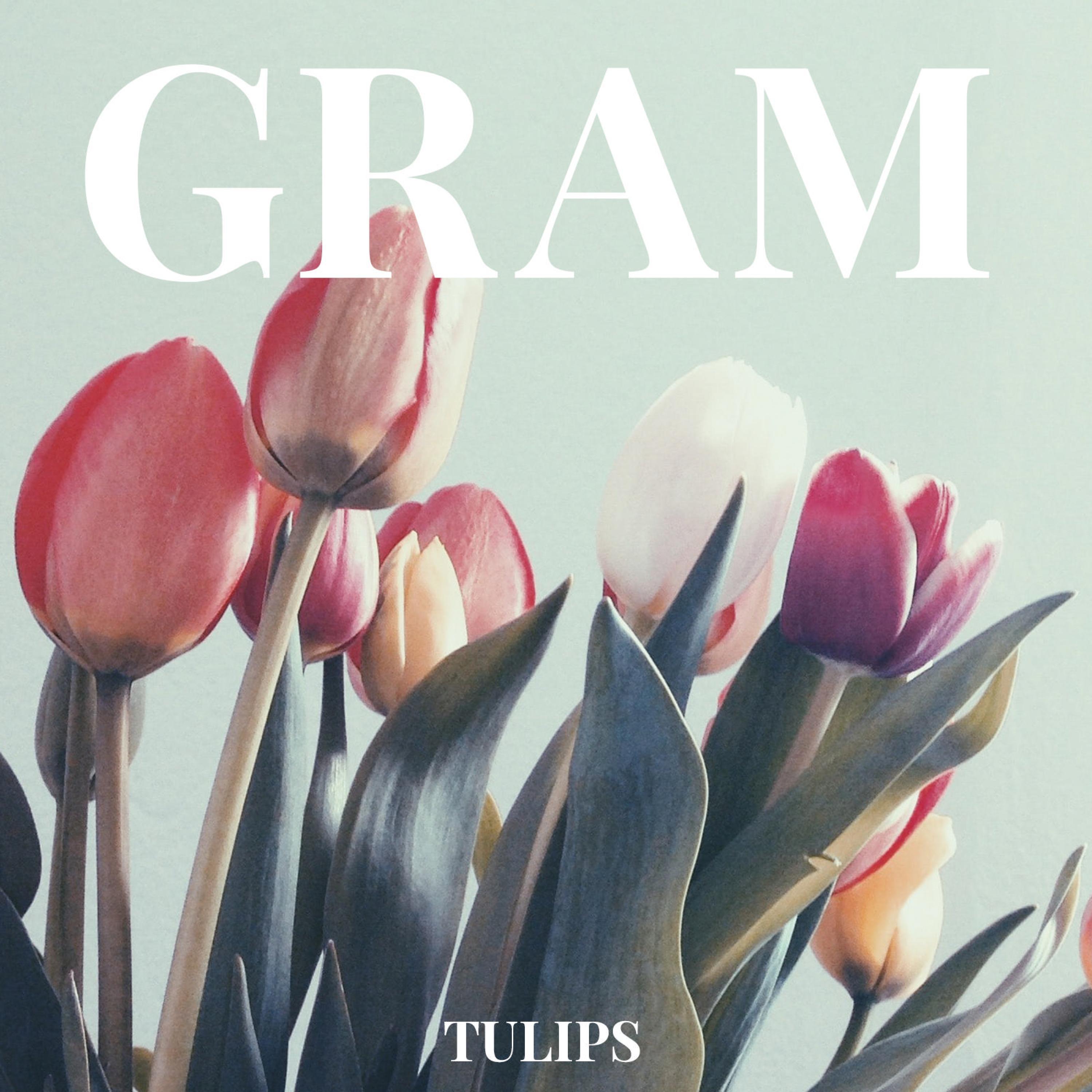 Tulips