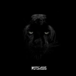 Notorious【Maga-Ruslan Vlog 伴奏】