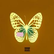 Butterfly(prod.sonnı)