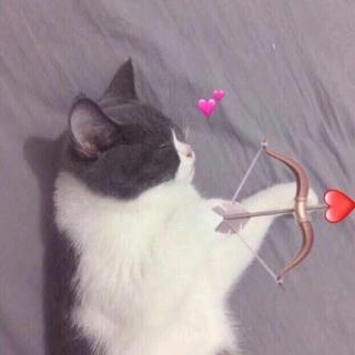 所有的不期而遇，不过是一个人的蓄谋已久