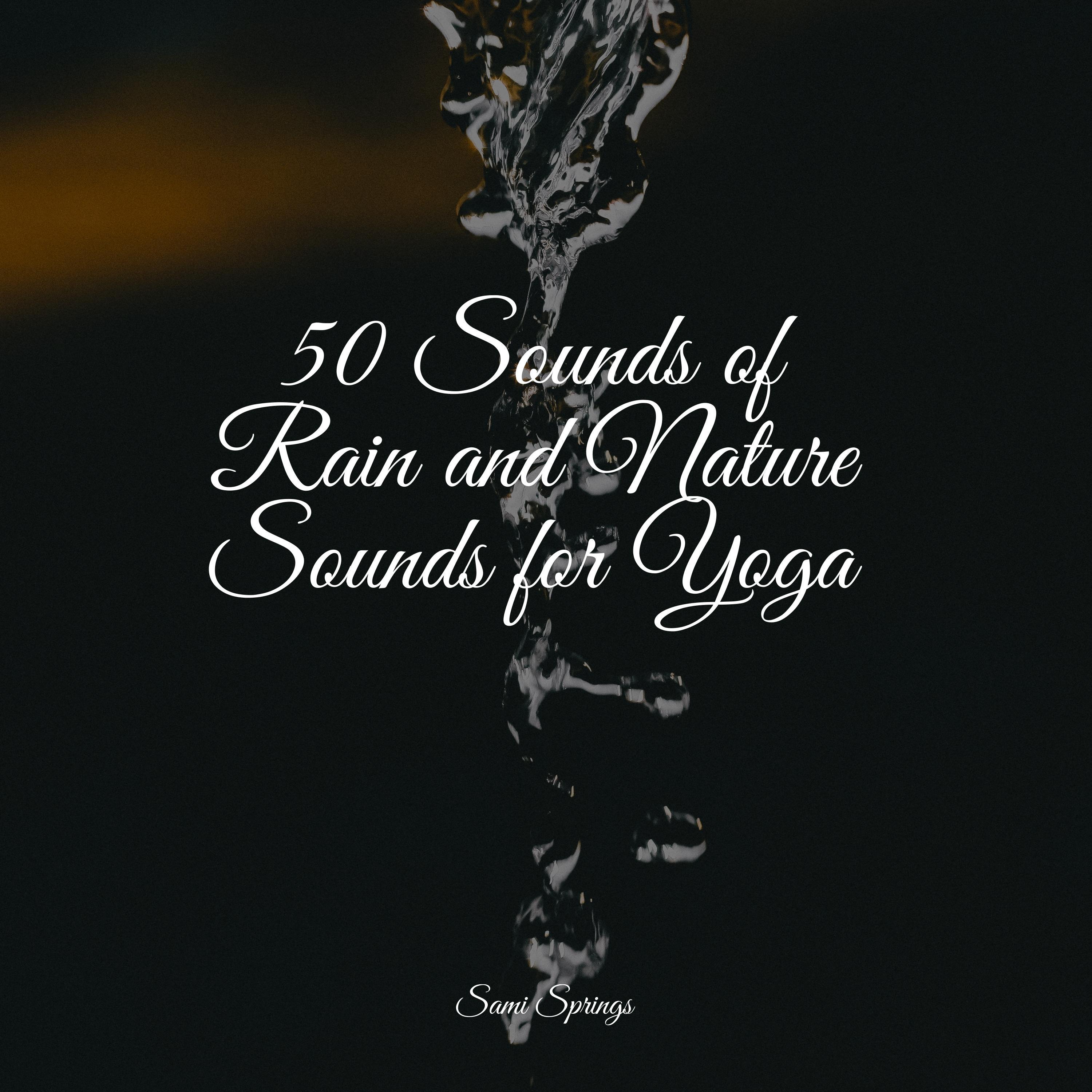 50 Sounds of Rain and Nature Sounds for Yoga