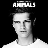 （消音伴奏） Martin Garrix Animals 动物 (Explicit) 伴奏