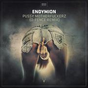 Pussy Mother****erz (D-Fence Remix)专辑