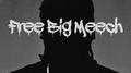 Free Big Meech专辑