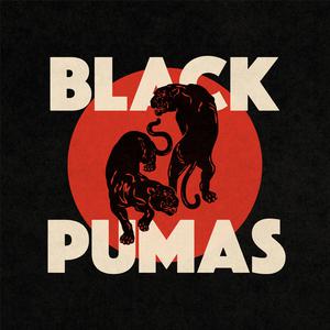 Colors - Black Pumas (K Instrumental) 无和声伴奏 （升8半音）
