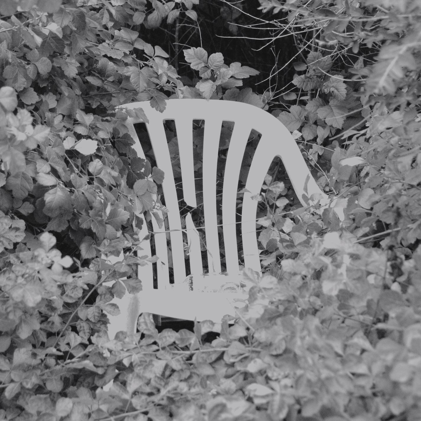 Wallflower