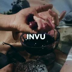 INVU-纯人声