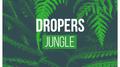 Jungle专辑